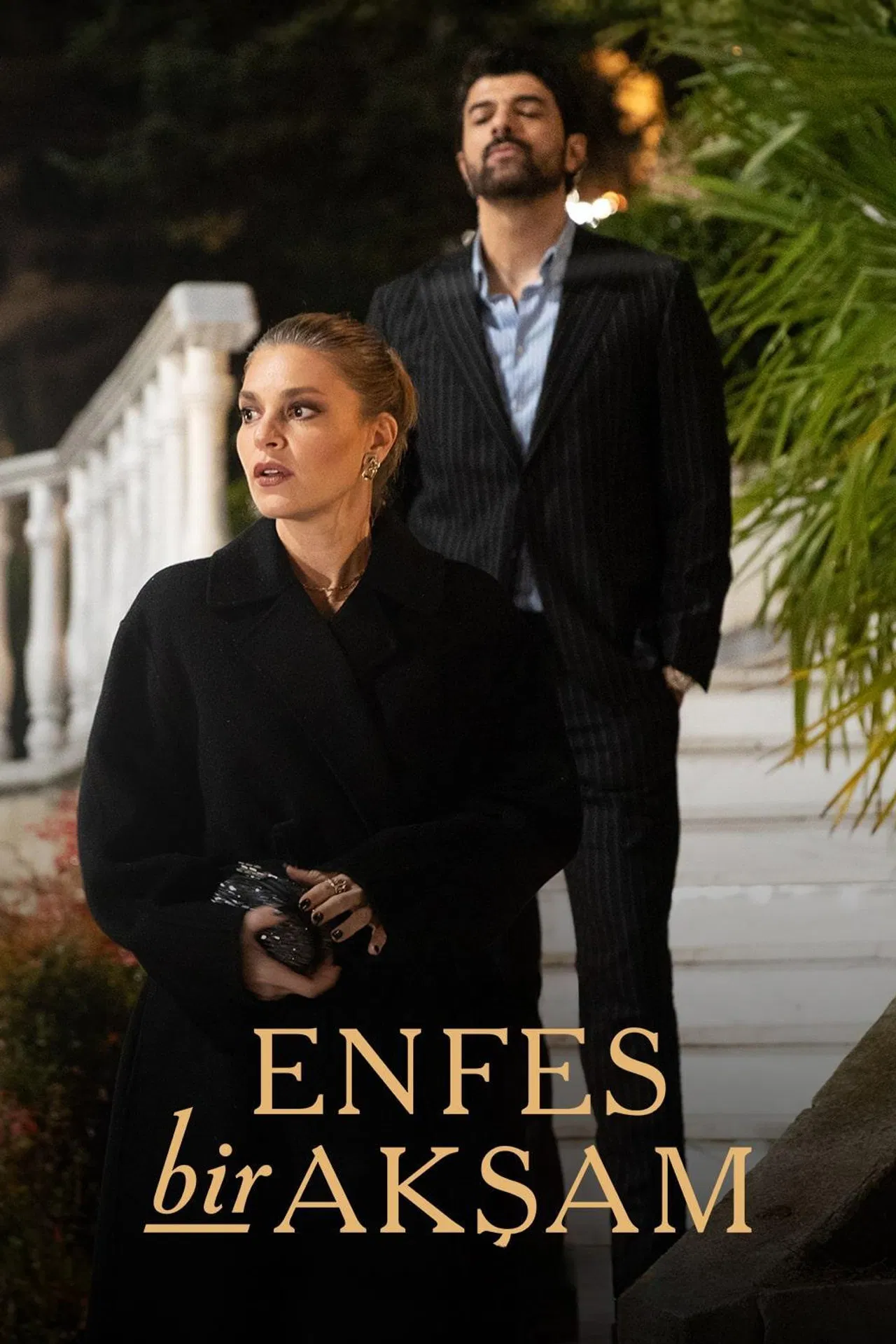 Enfes Bir Akşam Film izle