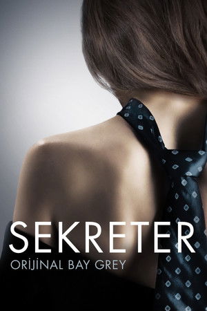 Sekreter Film izle